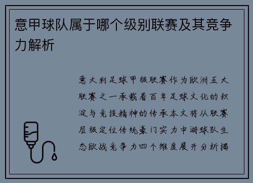 意甲球队属于哪个级别联赛及其竞争力解析